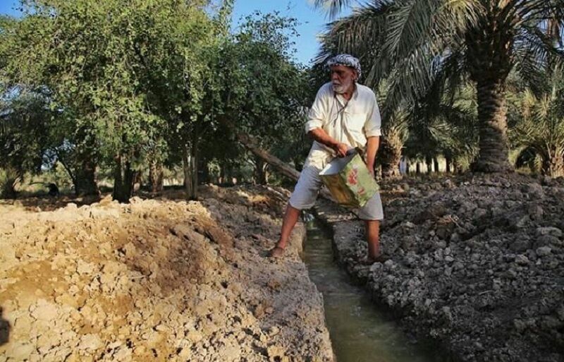 چراغ سبز سازمان آب و برق خوزستان به اصلاح قیمت آب بهای نخیلات چراغ سبز سازمان آب و برق خوزستان به اصلاح قیمت آب بهای نخیلات