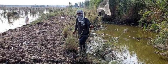 به صدا درآمدن ناقوس مرگ در بهشت خوزستان/اقدامات مسئولین در جهت نابودی است نه آبادی! به صدا درآمدن ناقوس مرگ در بهشت خوزستان/اقدامات مسئولین در جهت نابودی است نه آبادی!