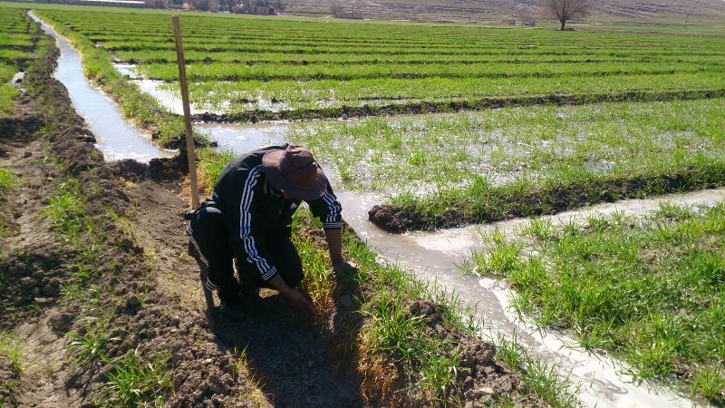 بخشودگی جرایم بانکی کشاورزان خوزستان