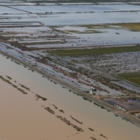 بارندگی 3500 هکتار از مزارع اهواز را به زیر آب برد/ پیش بینی تلفات صد در صدی برخی مزارع