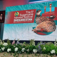 خوزستان "یوسف ایران" است/ نیشکر، استعاره‌ای از آینده شیرین