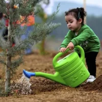نهال امید، سیلی آرام ایران به دشمنان